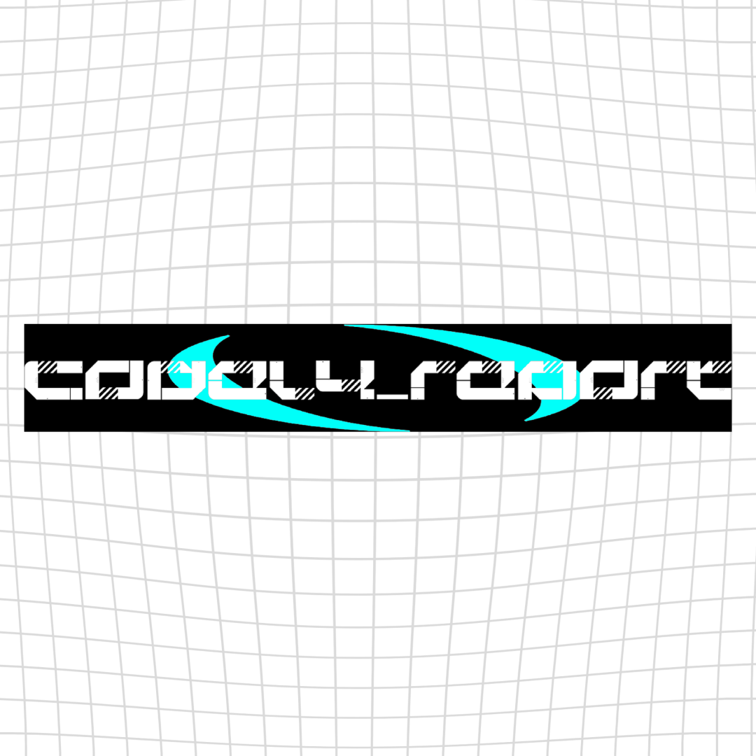 codeL4_report 2026